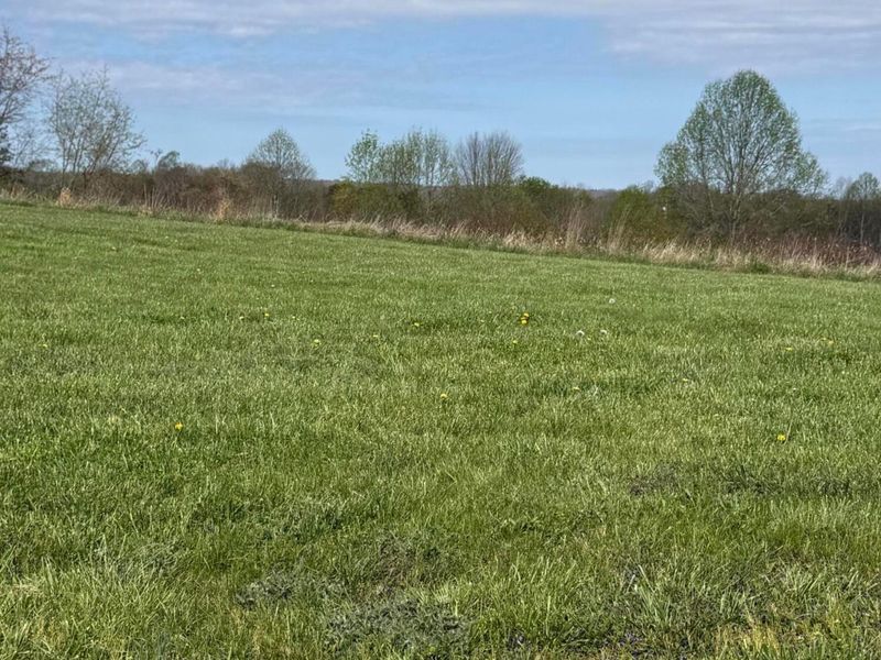 3233 Tick Ridge Road, Wheelersburg, OH 45694 Photo 1