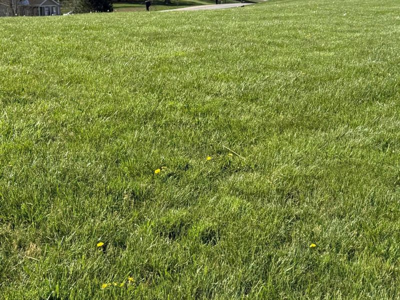 3233 Tick Ridge Road, Wheelersburg, OH 45694 Photo 2