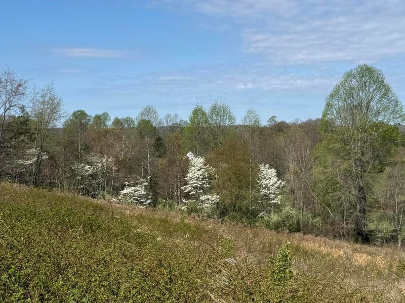 3233 Tick Ridge Road, Wheelersburg, OH 45694 Photo 4