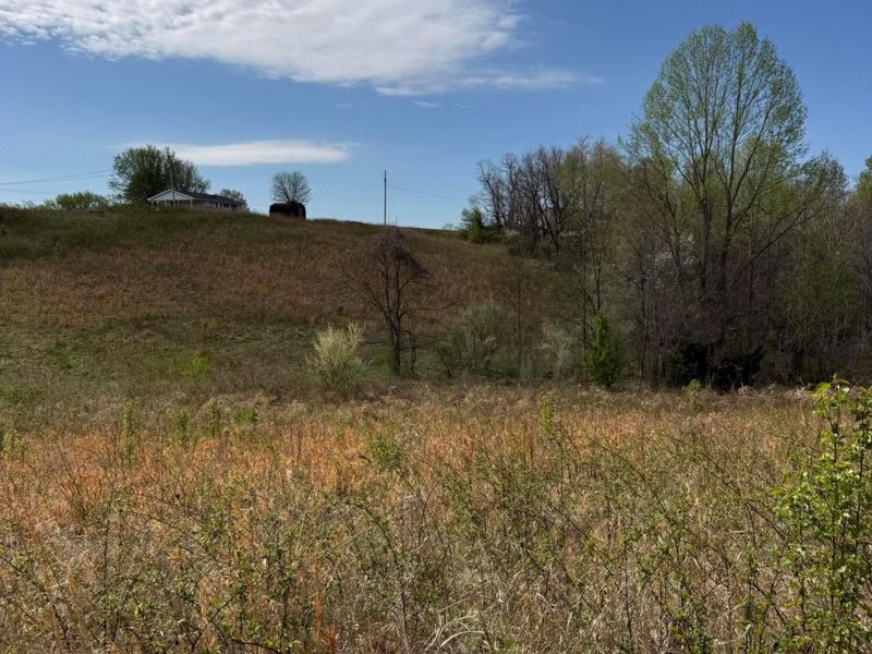 3233 Tick Ridge Road, Wheelersburg, OH 45694 Photo 5