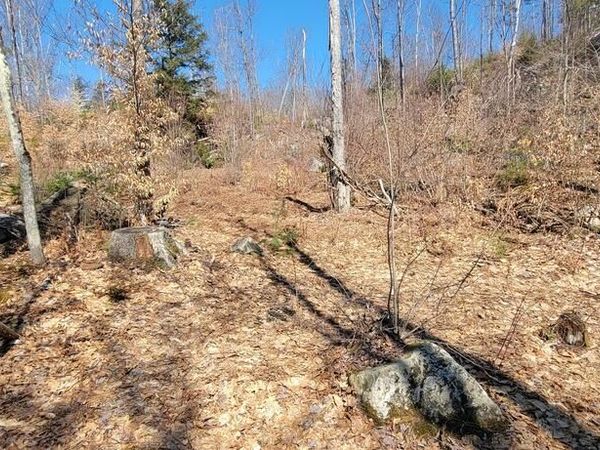 Lot 21 River Road , Avon, ME 04966