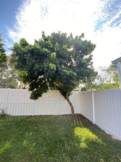 41 Buxton Lane, Boynton Beach, FL 33426 Photo