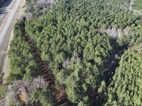 Highway 82, Ethelsville, AL 35461