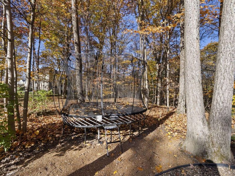 7757 Bridlespur Lane , Delaware, OH 43015 Photo 102