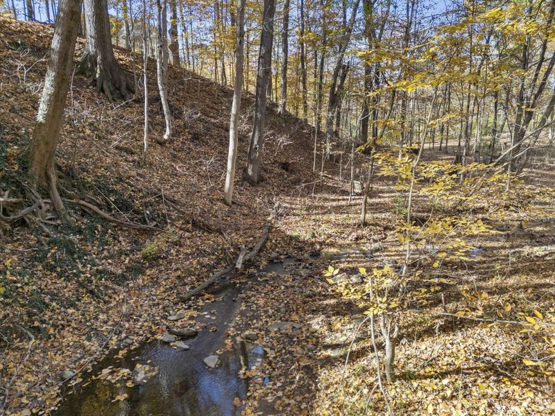 7757 Bridlespur Lane , Delaware, OH 43015 Photo 85