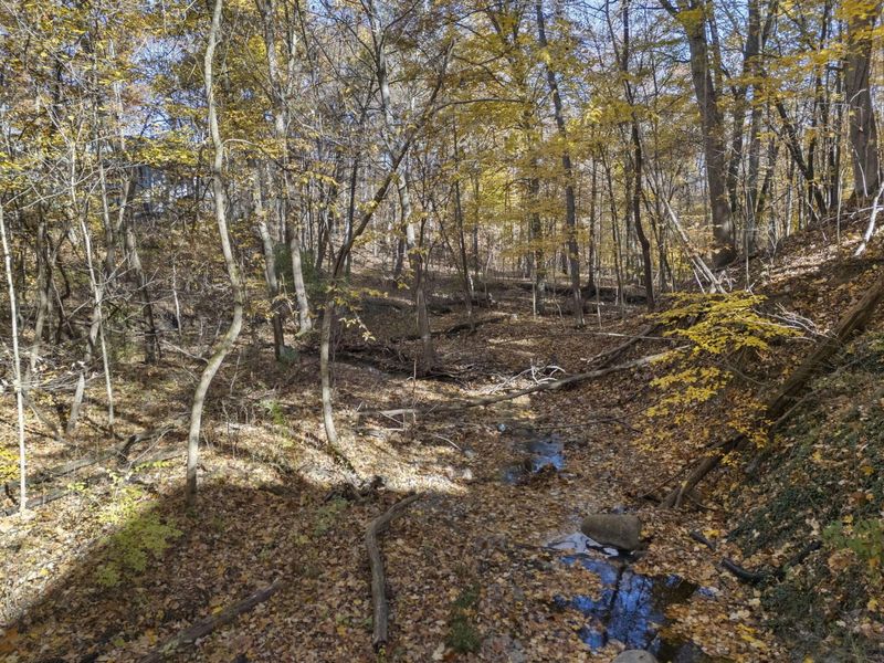 7757 Bridlespur Lane , Delaware, OH 43015 Photo 87