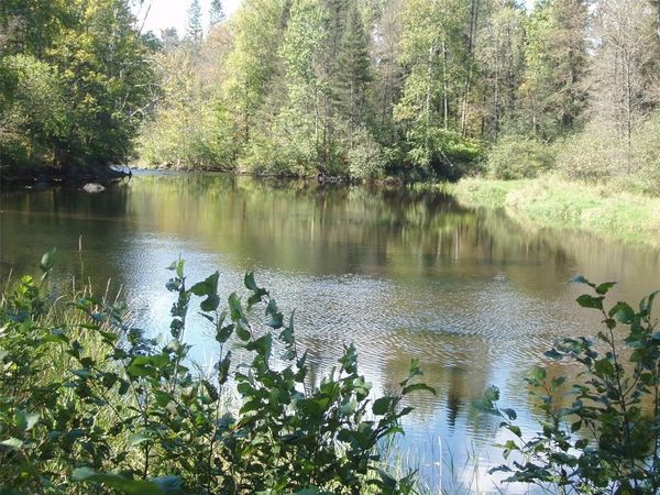 N15671 Evergreen Road, Park Falls, WI 54552