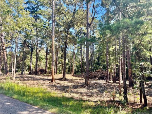 15902 Chaumont Ave, Central, LA 70739