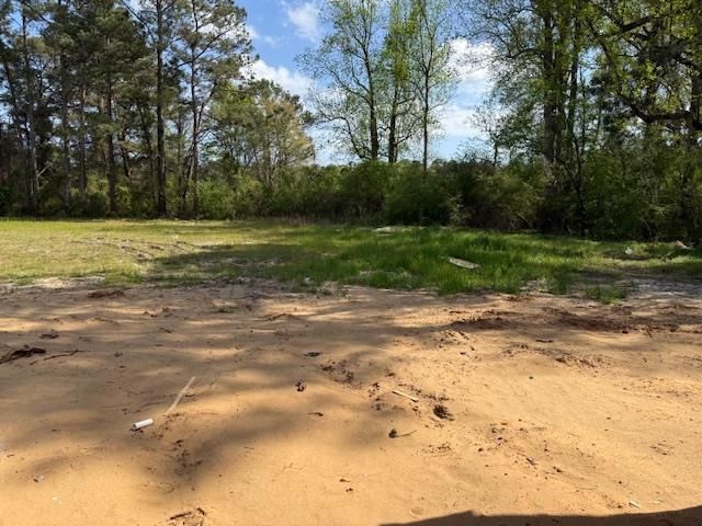 2605 Cottonwood Dr. Photo 6