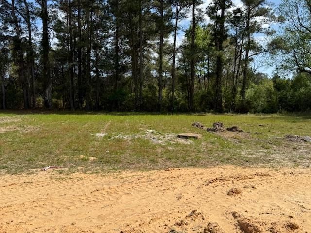 2599 Cottonwood Dr.  Photo 5