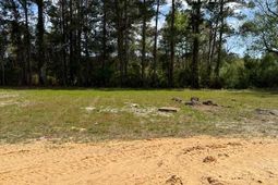 2599 Cottonwood Dr.  photo 4