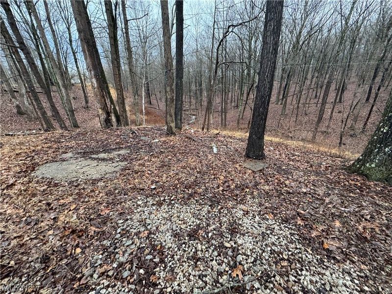 6200 Federal Road, Cutler, OH 45724 Photo 6