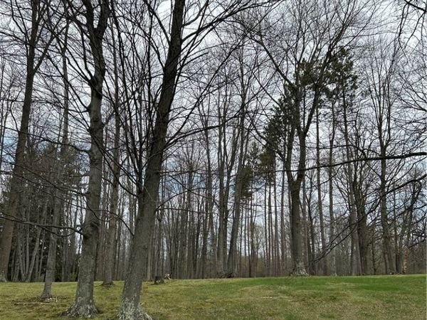 170 West Main St/ US Rt 322, Orwell, OH 44076