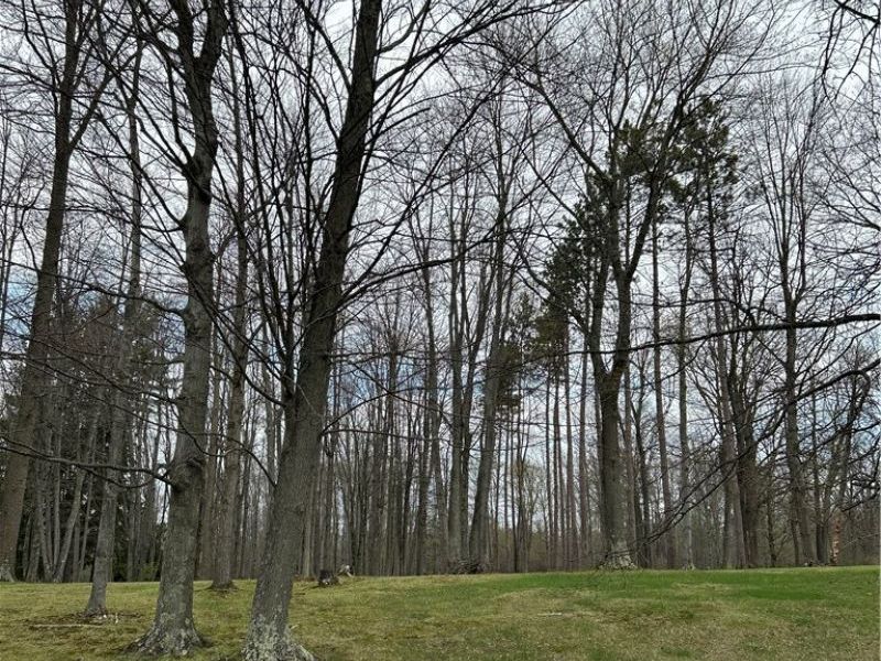 170 West Main St/ US Rt 322, Orwell, OH 44076 Photo 1