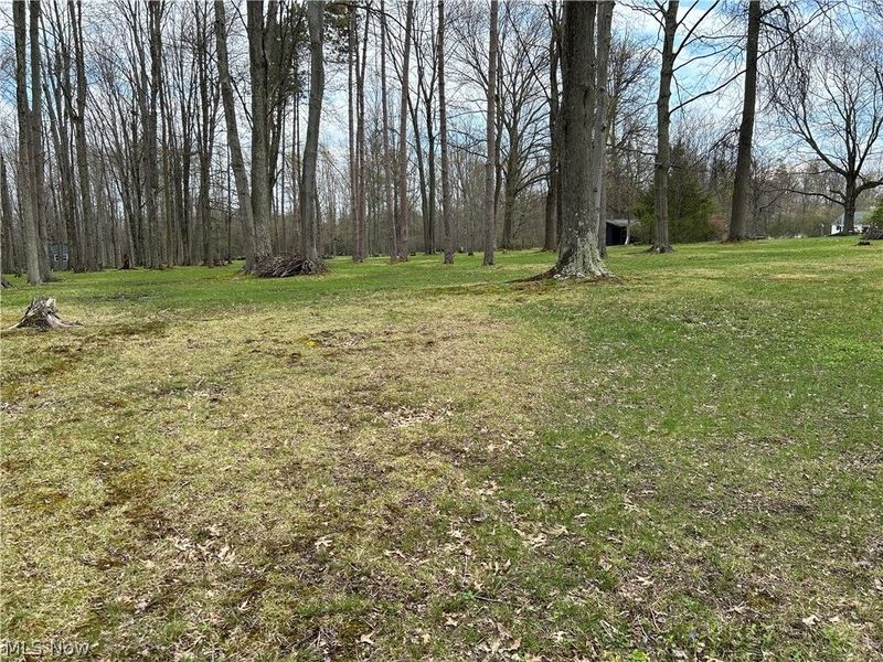 170 West Main St/ US Rt 322, Orwell, OH 44076 Photo 11