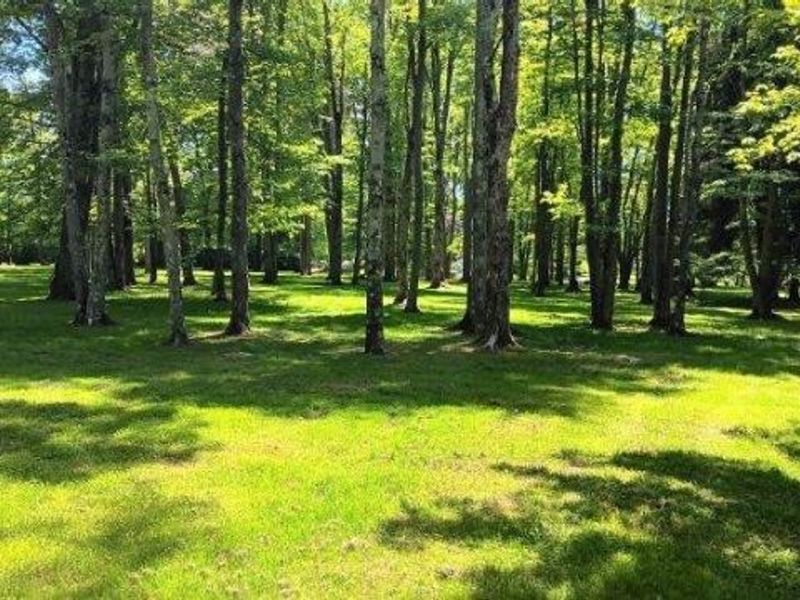 170 West Main St/ US Rt 322, Orwell, OH 44076 Photo 3