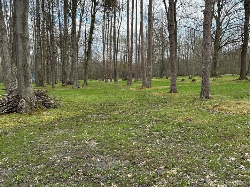 170 West Main St/ US Rt 322, Orwell, OH 44076 Photo 3