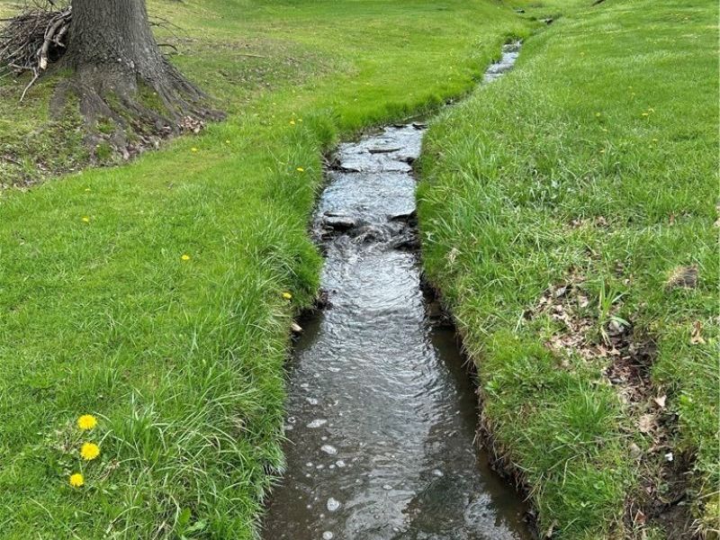 170 West Main St/ US Rt 322, Orwell, OH 44076 Photo 4