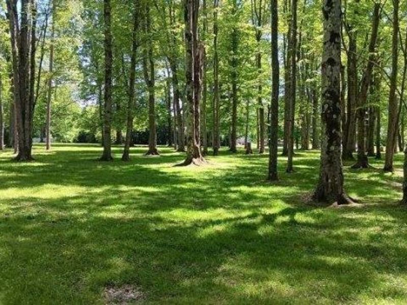 170 West Main St/ US Rt 322, Orwell, OH 44076 Photo 8