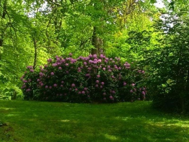 170 West Main St/ US Rt 322, Orwell, OH 44076 Photo 9