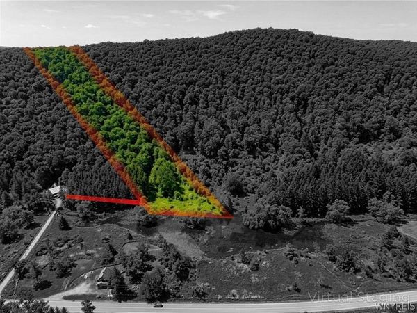 Maples Road, Ellicottville, NY 14731