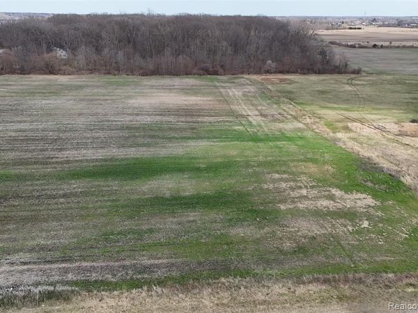 Briar Hill Road , Ash Twp, MI 48117