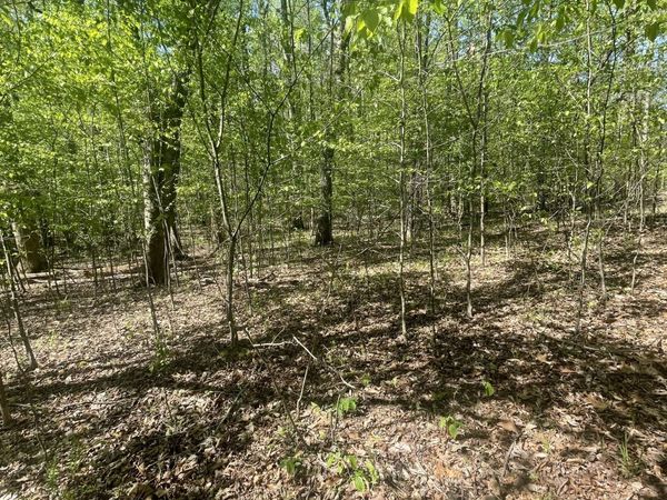 389 Excalibur Trl , Cedar Grove, TN 38321