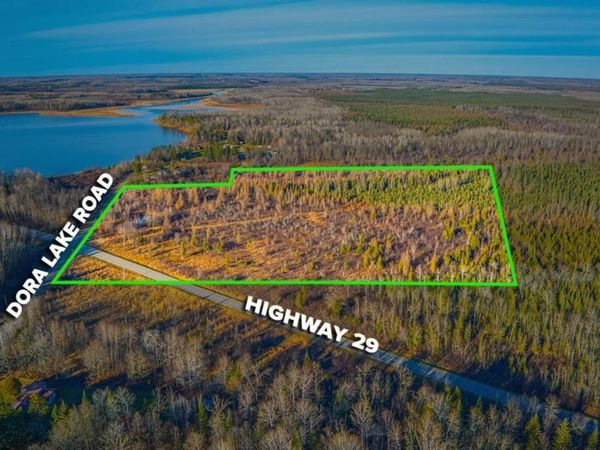 TBD Dora Lake Rd , Kinghurst Twp, MN 56661