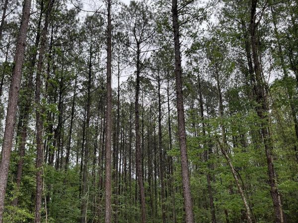 U.S. 49 , Brooklyn, MS 39425