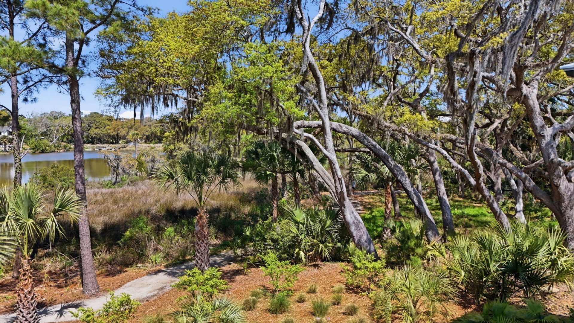 2120 Boatwright Road Photo 43