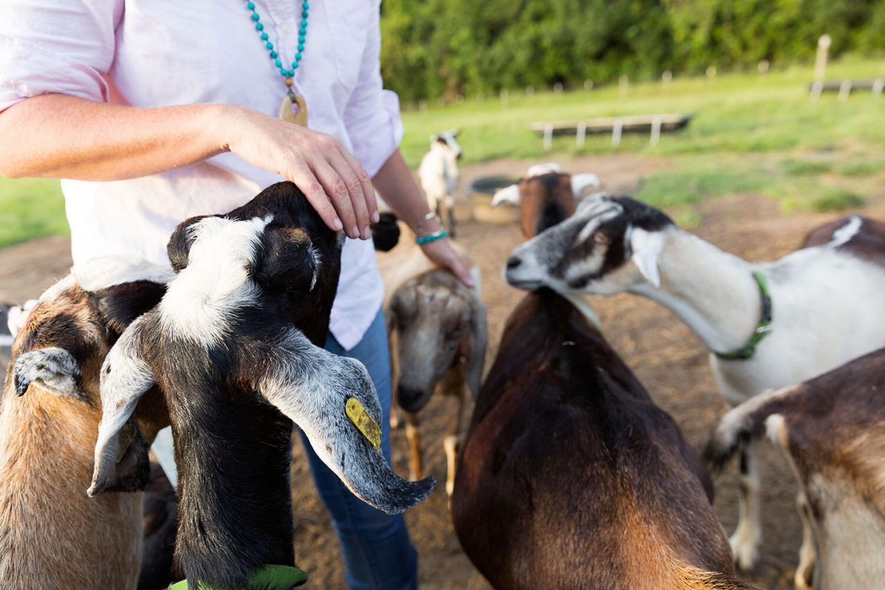 2120 Boatwright Road Photo 49