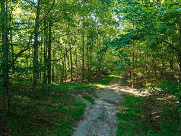 140 Floyd Drive , Smithville, TN 37166