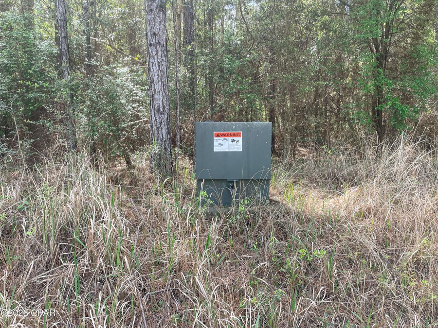 Property Image 11