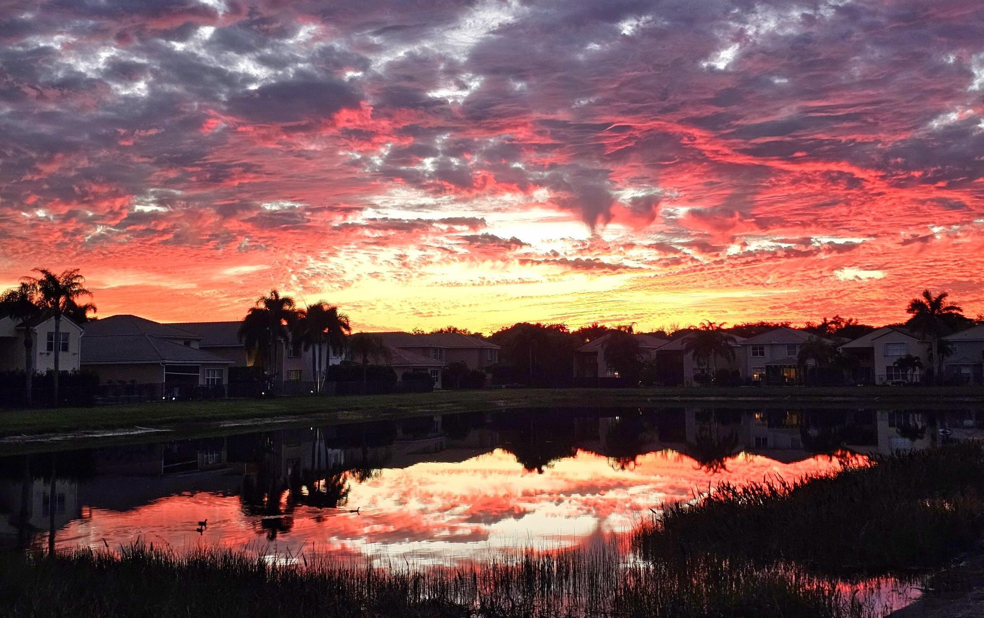 11565 Ponywalk Trail, Boynton Beach, FL 33473 Photo