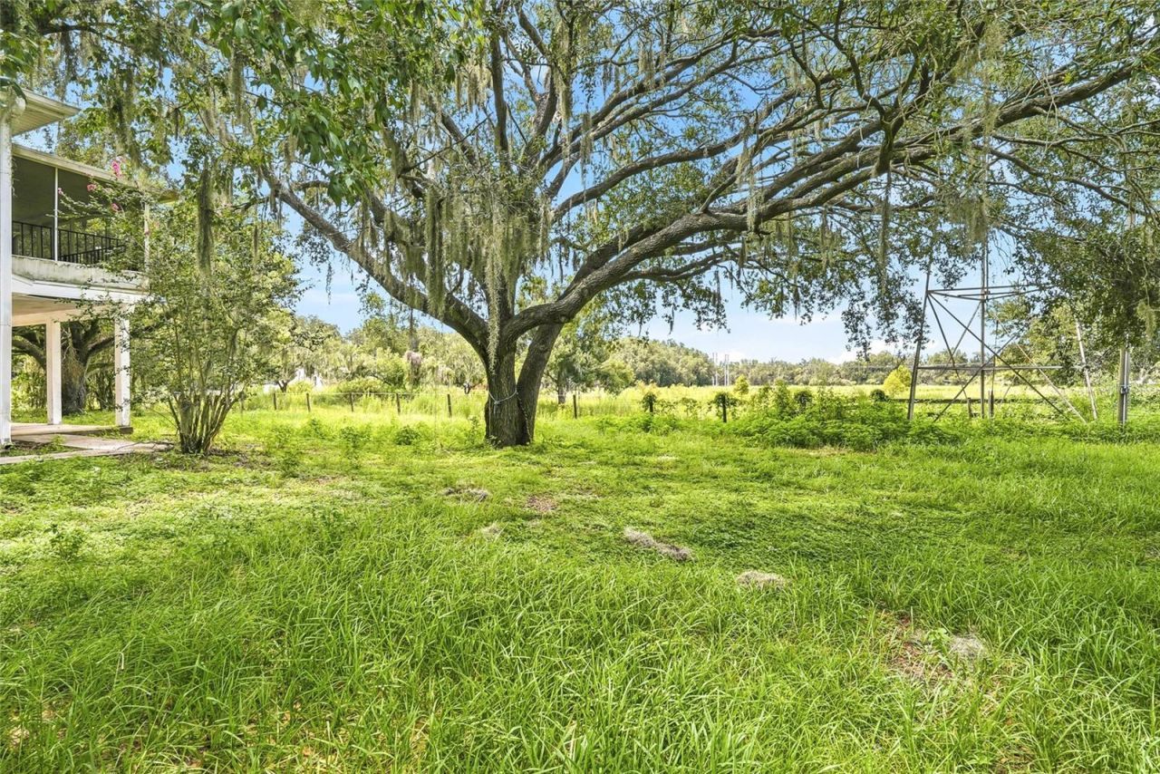 8731 Lithia Pinecrest Road, Lithia, FL 33547 Photo