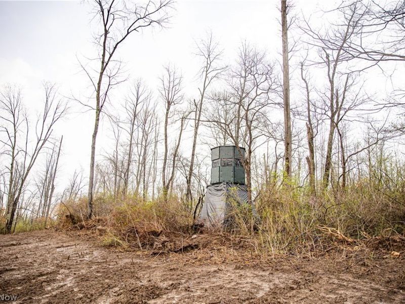 2650 Darlington Drive , Zanesville, OH 43701 Photo 11