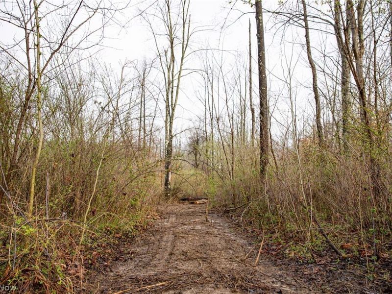 2650 Darlington Drive , Zanesville, OH 43701 Photo 18