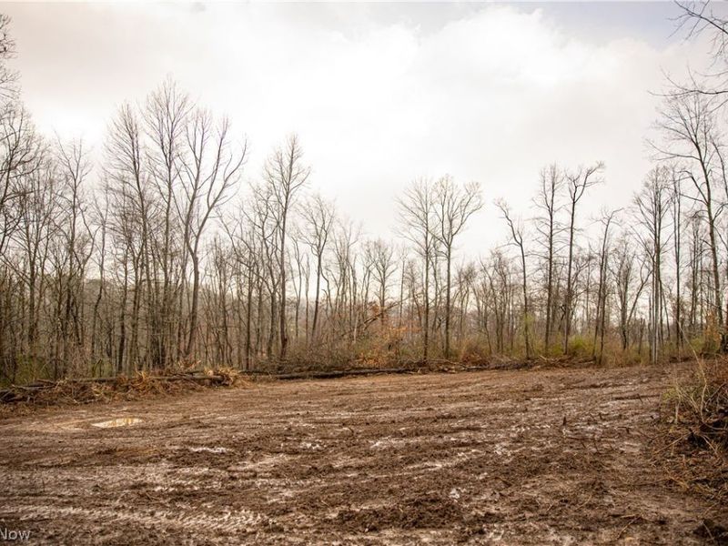 2650 Darlington Drive , Zanesville, OH 43701 Photo 19