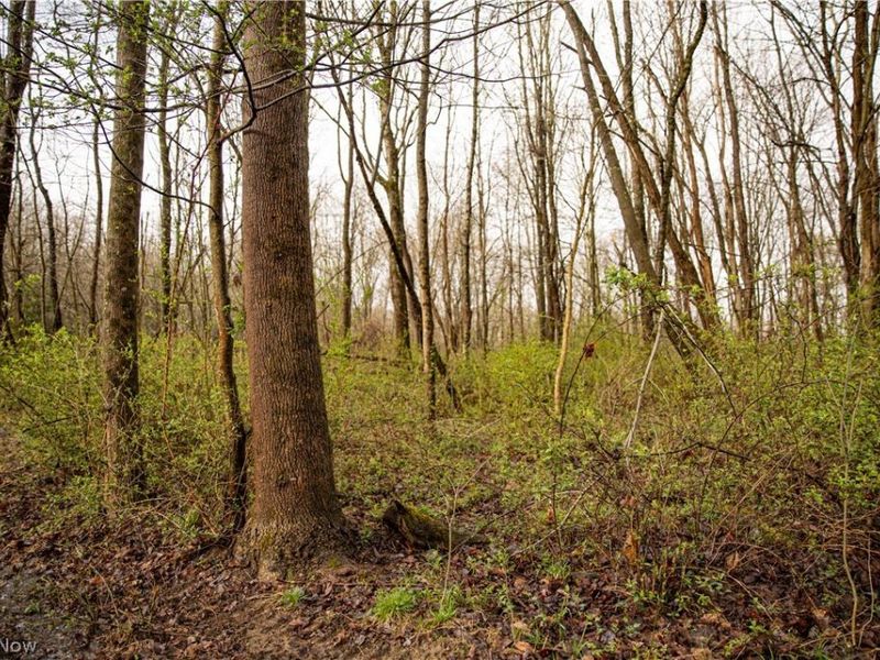 2650 Darlington Drive , Zanesville, OH 43701 Photo 20