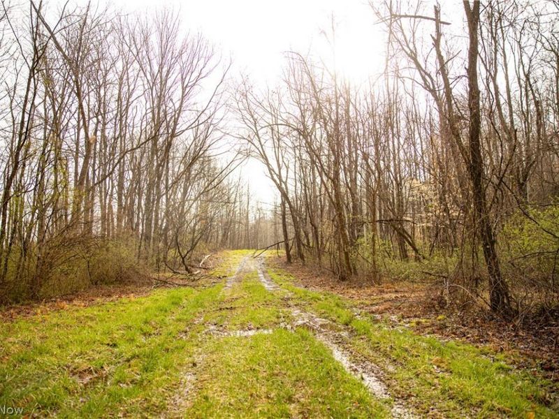 2650 Darlington Drive , Zanesville, OH 43701 Photo 21