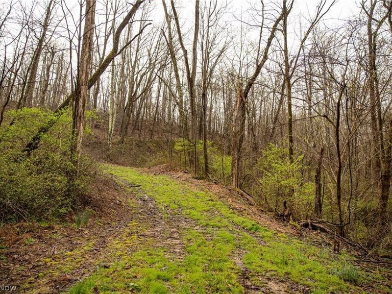 2650 Darlington Drive , Zanesville, OH 43701 Photo 25