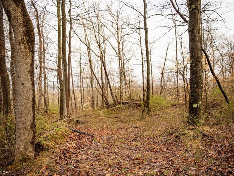 2650 Darlington Drive , Zanesville, OH 43701 Photo 26