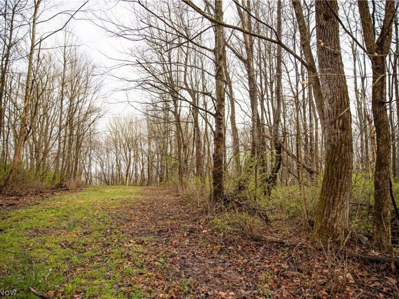 2650 Darlington Drive , Zanesville, OH 43701 Photo 28