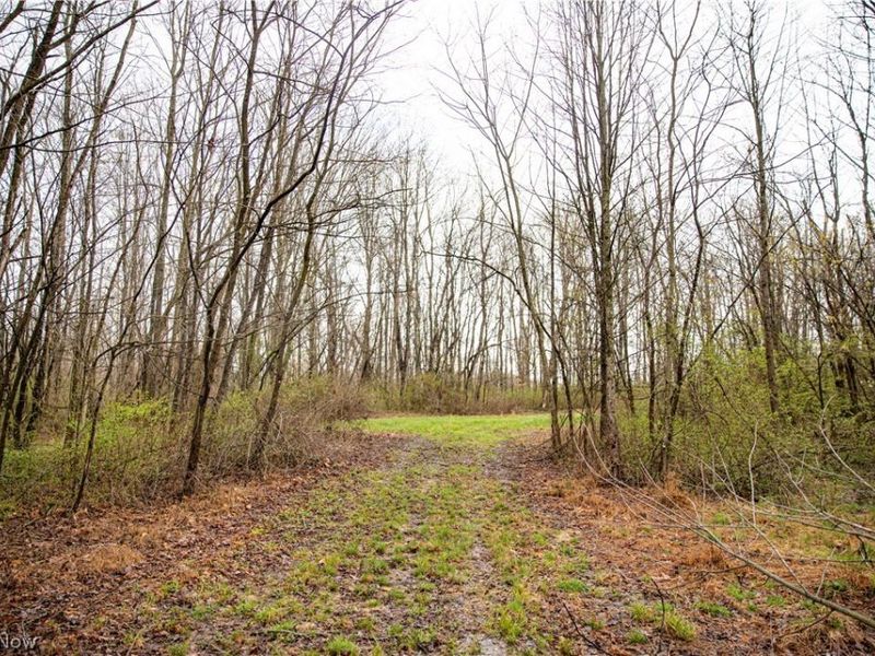 2650 Darlington Drive , Zanesville, OH 43701 Photo 29