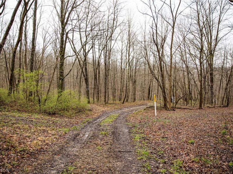 2650 Darlington Drive , Zanesville, OH 43701 Photo 30