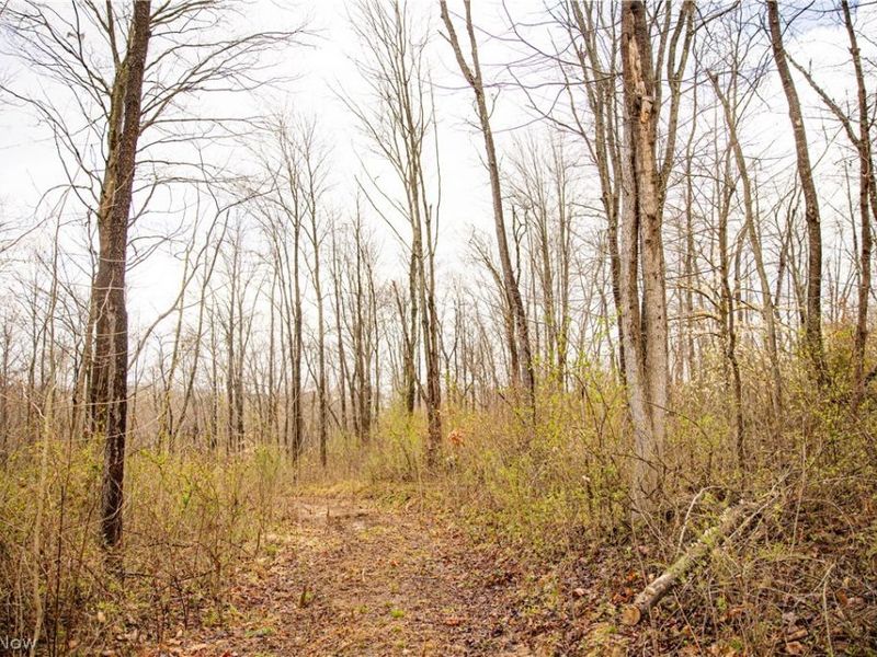 2650 Darlington Drive , Zanesville, OH 43701 Photo 31