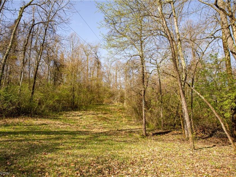 2650 Darlington Drive , Zanesville, OH 43701 Photo 34