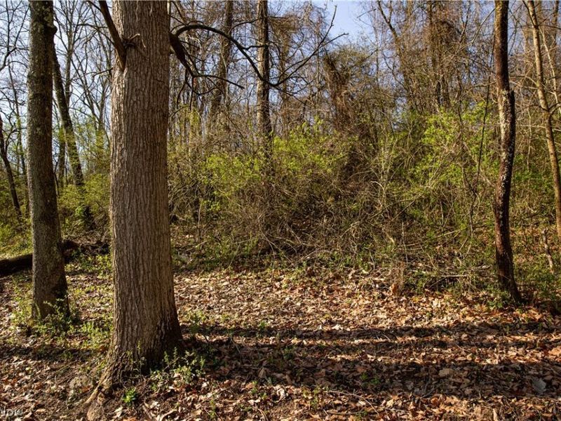 2650 Darlington Drive , Zanesville, OH 43701 Photo 35