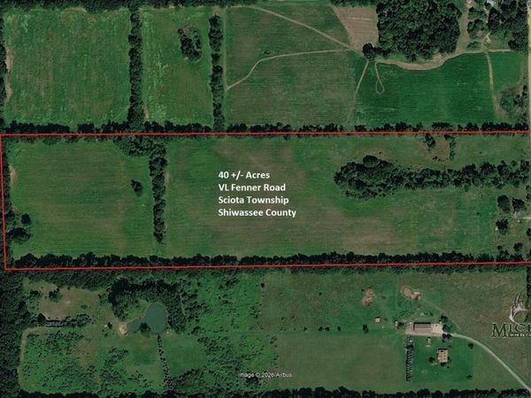 VL Fenner Road, Laingsburg, MI 48848