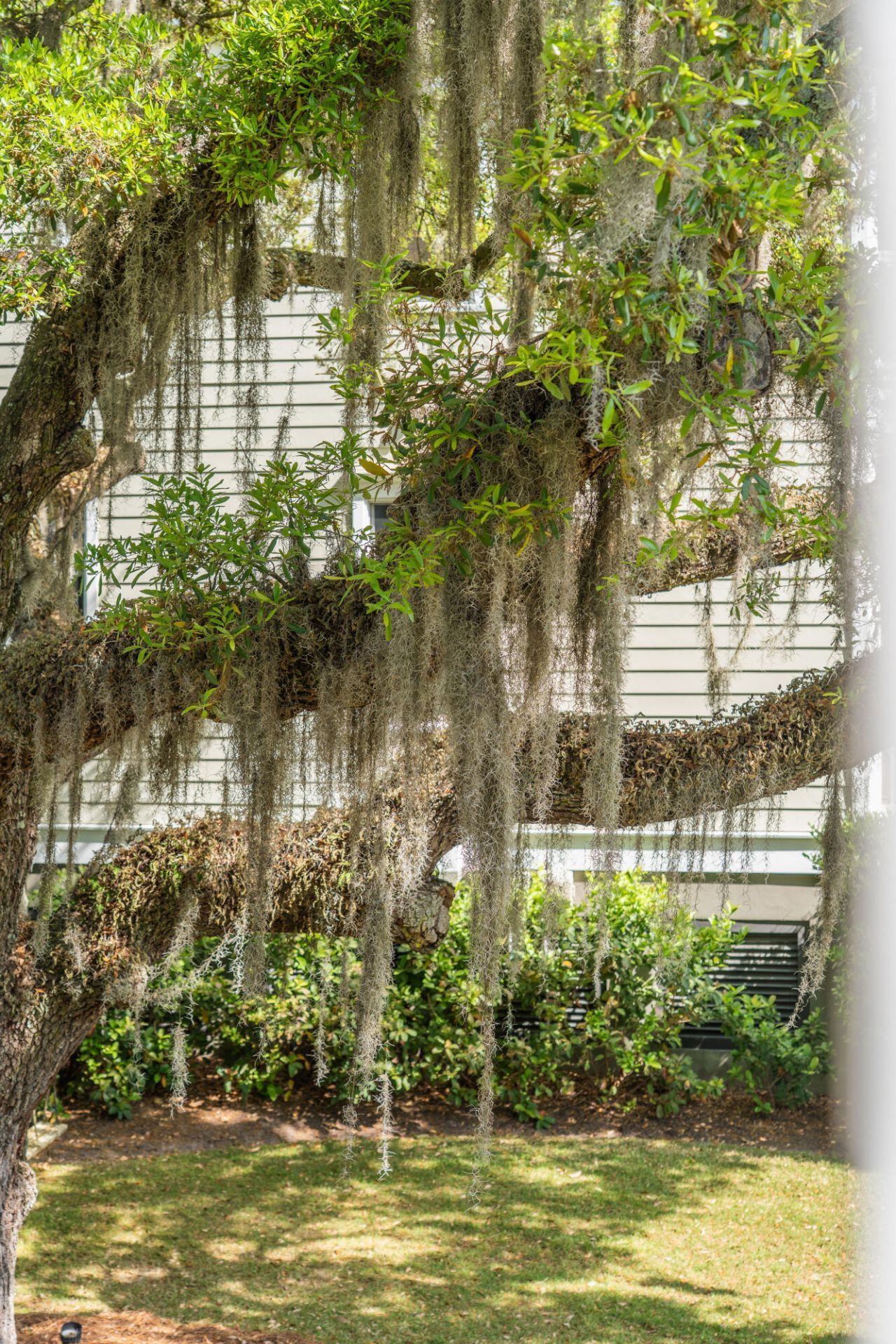 164 River Green Place Photo 4